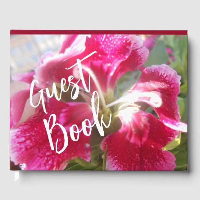 Livro De Visitas Lodovica (Frente)