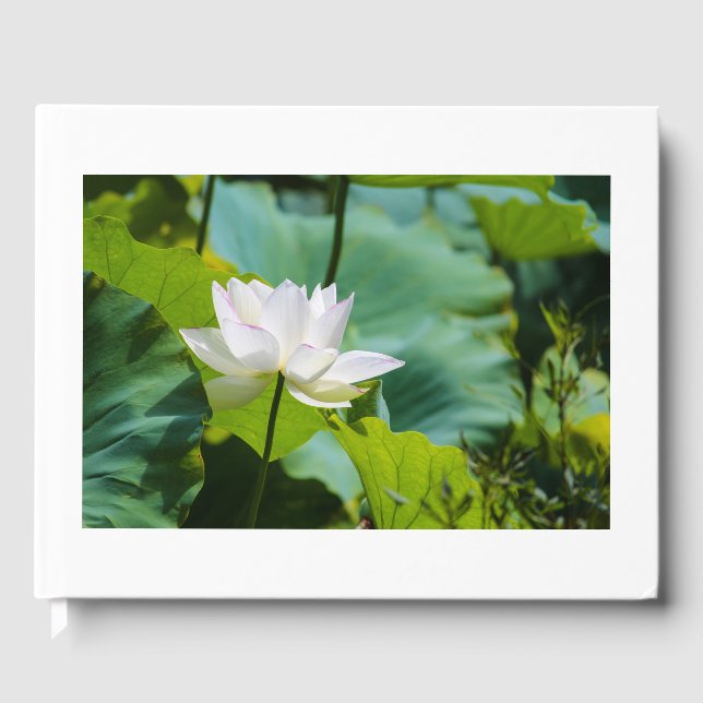 Livro De Visitas Lotus (Frente)