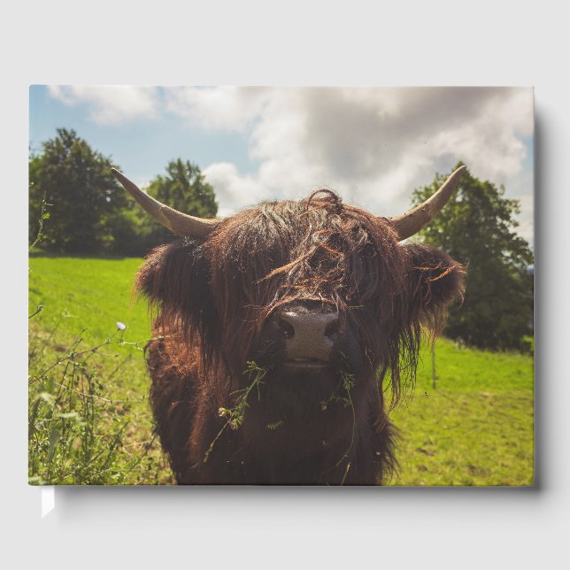 Livro De Visitas Luz verde do campo verde da vaca em lata negra (Frente)