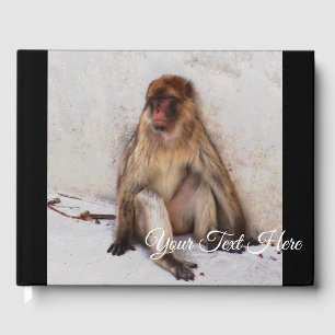 Livro De Visitas Macaco preguiçoso