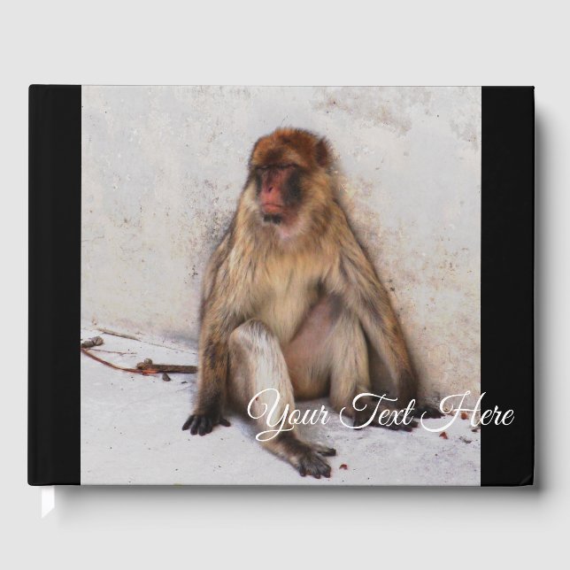 Livro De Visitas Macaco preguiçoso (Frente)