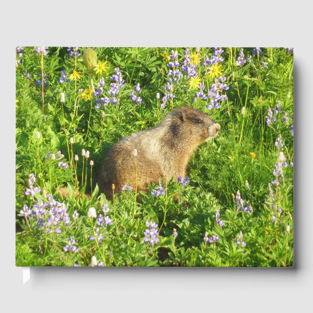 Livro De Visitas Marmot no Monte Rainier Wildflower (Frente)