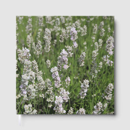 Livro De Visitas Melissa Lavanda