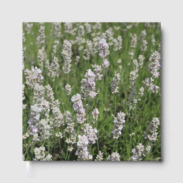 Livro De Visitas Melissa Lavanda (Frente)