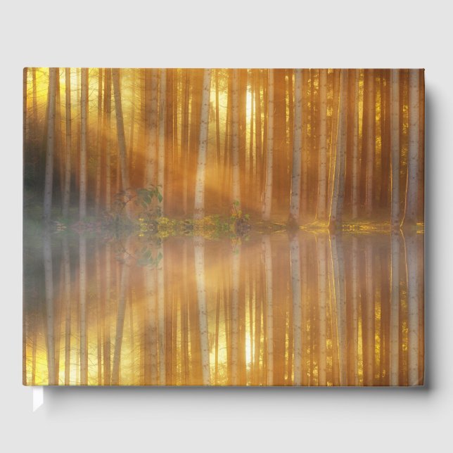 Livro De Visitas Misty Forest Scene (Frente)