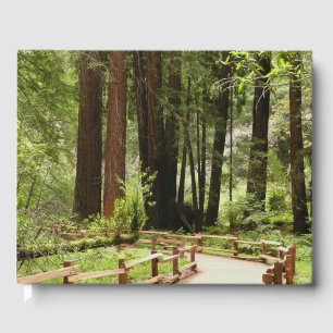 Livro De Visitas Muir Woods Path I Nature Photoics