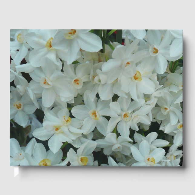 Livro De Visitas Narciso Branco Delicado de Paperwhite Flores (Frente)