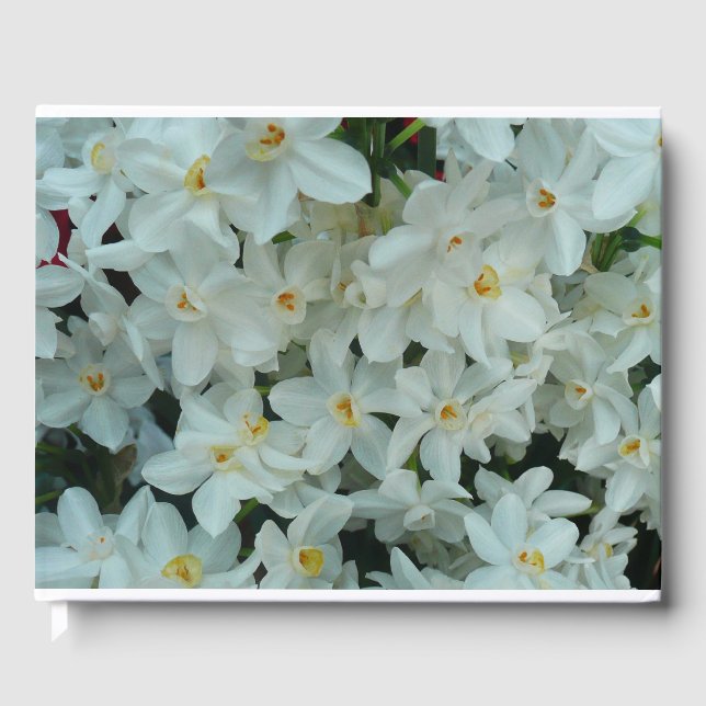 Livro De Visitas Narciso Branco Delicado de Paperwhite Flores (Frente)
