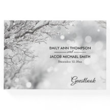 Neve e Casamento no inverno de gelo espumantes