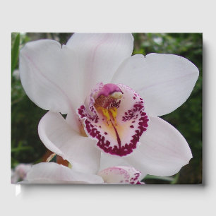 Livro De Visitas Orquídea Branca I Linda Flor Tropical