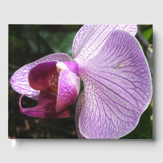 Livro De Visitas Orquídea: Mind Edition