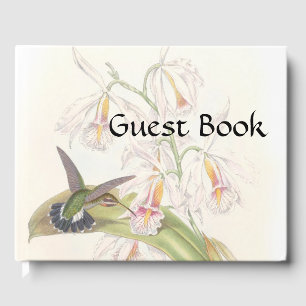 Livro De Visitas Os animais selvagens dos pássaros do colibri