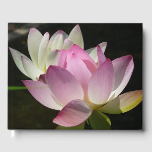 Livro De Visitas Par de Flores de Lotus II