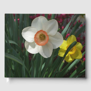 Livro De Visitas Par de Narcisos Flores Cor-de-Rosa e Amarelas da P