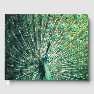 Livro De Visitas Peacock Strut
