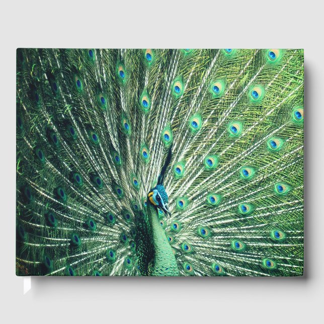 Livro De Visitas Peacock Strut (Frente)