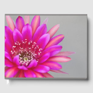 Livro De Visitas pétalas de flores de cacto rosa vibrantes