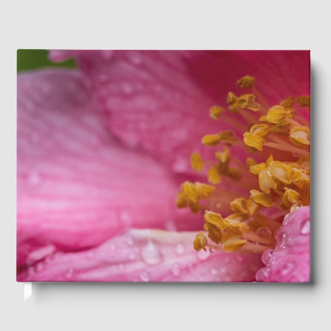 Livro De Visitas Pink Camellia Flower Stamens (Frente)
