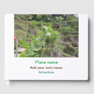 Livro De Visitas Plantas naturais fotografia água de praia viagem
