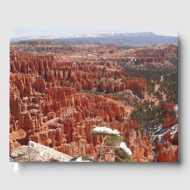 Livro De Visitas Ponto de Inspiração no Bryce Canyon I (Frente)