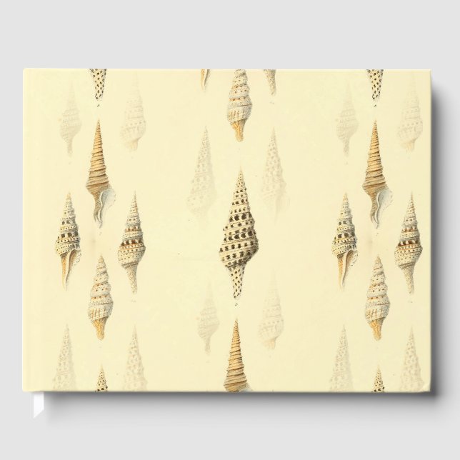 Livro De Visitas praia (Frente)