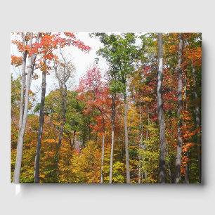Livro De Visitas Queda na fotografia do outono da Floresta Colorida
