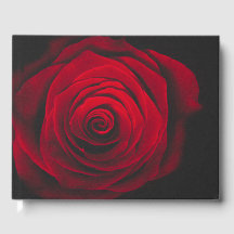 Rosa vermelha no efeito de vintagem em fundo preto