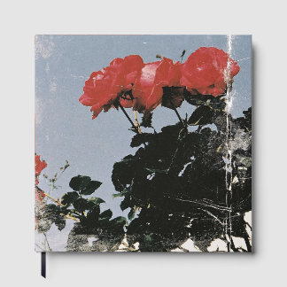 Livro De Visitas Rosas Vermelhas Antigas Contra um Céu Azul