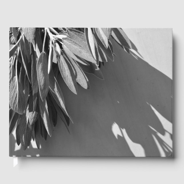 Livro De Visitas Salsa Fresca de Sálvia em Tons de Cinza (Frente)