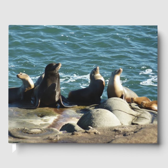 Livro De Visitas San Diego Sea Lions (Frente)