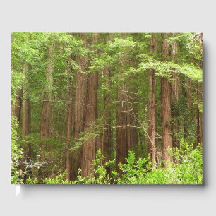 Livro De Visitas Sequoias Vermelhas no Monumento Nacional de Muir W