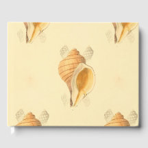 shell Beach art design brilhante