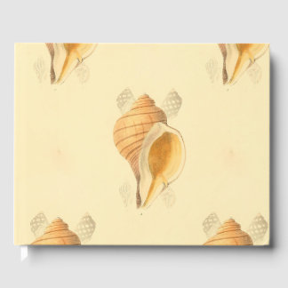 Livro De Visitas shell Beach art design brilhante