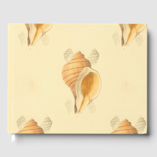 Livro De Visitas shell Beach art design brilhante (Frente)