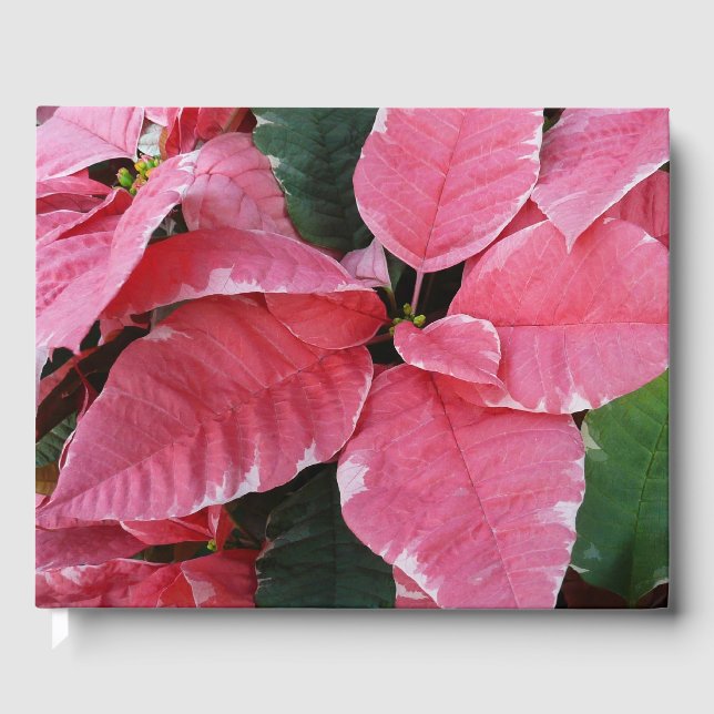 Livro De Visitas Silver Star Marble Poinsettias Feriado Rosa Floral (Frente)