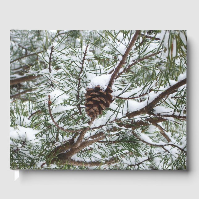 Livro De Visitas Snowy Pine Cone II Fotografia de inverno (Frente)