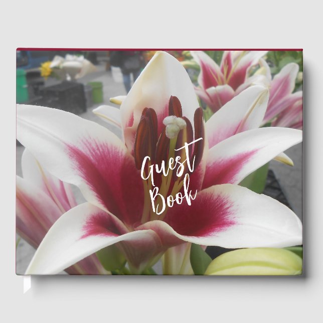 Livro De Visitas Star Gazer (Frente)