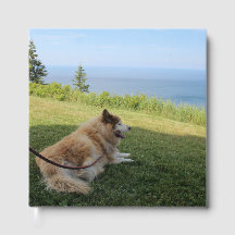 Suka aproveitando o Cabo George