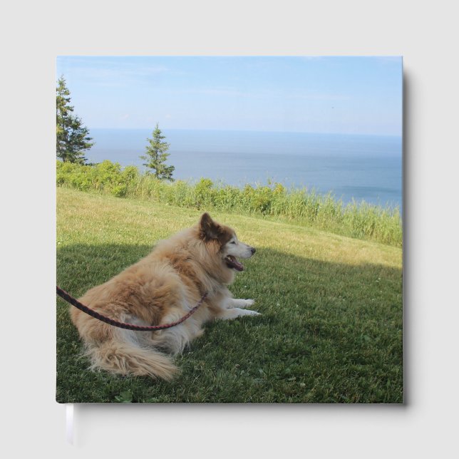 Livro De Visitas Suka aproveitando o Cabo George (Frente)