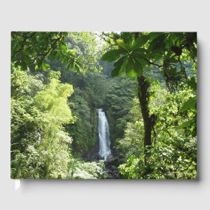 Livro De Visitas Traffic Falls Tropical RainForest Fotografia