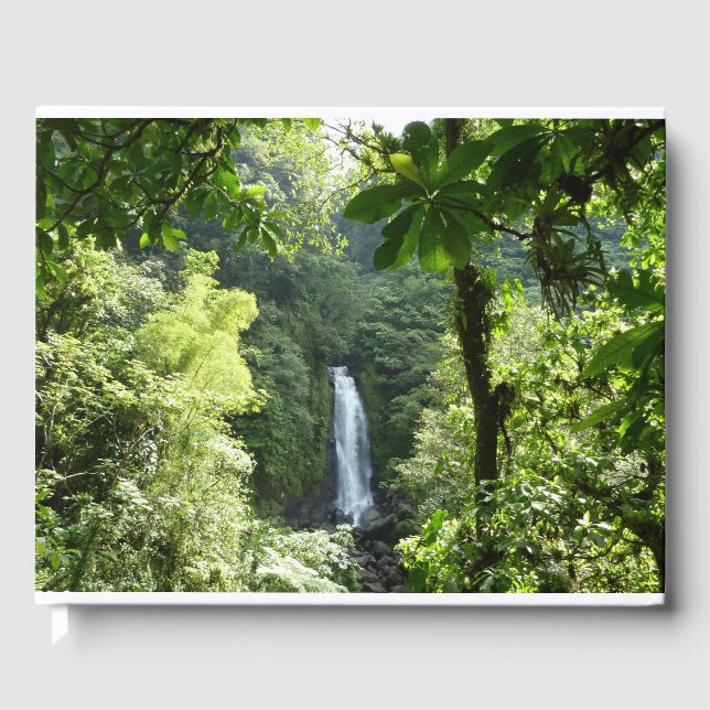 Livro De Visitas Traffic Falls Tropical RainForest Fotografia (Frente)