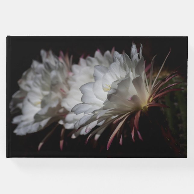 Livro De Visitas Trio de flores brancas do Cactus (Frente)