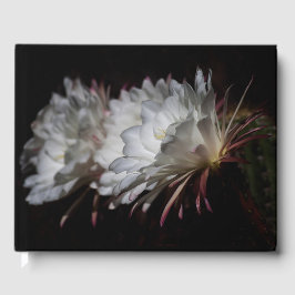 Livro De Visitas Trio de flores brancas do Cactus