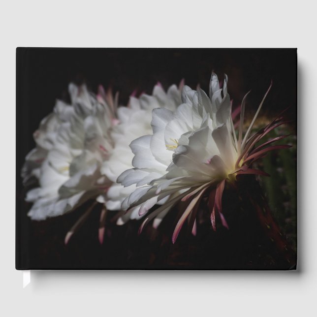 Livro De Visitas Trio de flores brancas do Cactus (Frente)