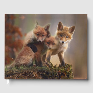 Livro De Visitas Tripletes Foxy