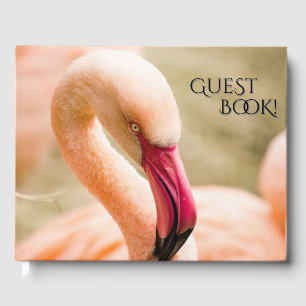 Livro De Visitas Um Belo Flamingo Rosa
