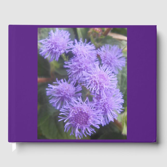 Livro De Visitas Viscondessa, (Frente)