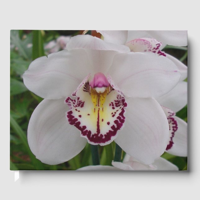 Livro De Visitas White Orchid II Elegant Floral (Frente)