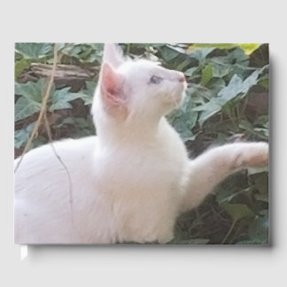 Livro De Visitas whitecat GuestBook