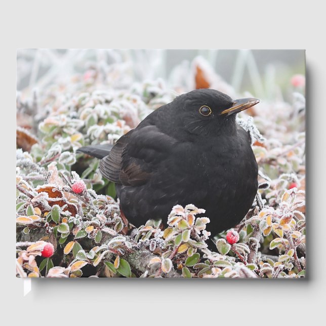 Livro De Visitas Winter Blackbird (Frente)